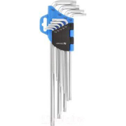 SET DI CHIAVI TORX IN...