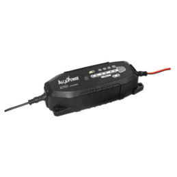 CLX-1 CARICABATTERIA SWITCH...